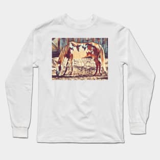 American Paint Horse Long Sleeve T-Shirt